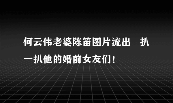 何云伟老婆陈笛图片流出   扒一扒他的婚前女友们！