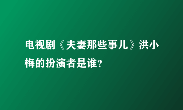 电视剧《夫妻那些事儿》洪小梅的扮演者是谁？