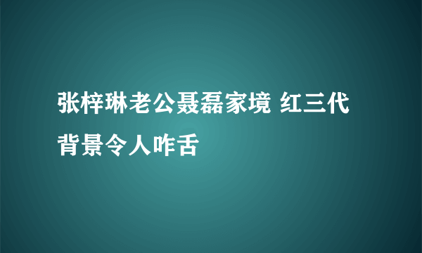 张梓琳老公聂磊家境 红三代背景令人咋舌