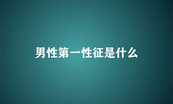 男性第一性征是什么