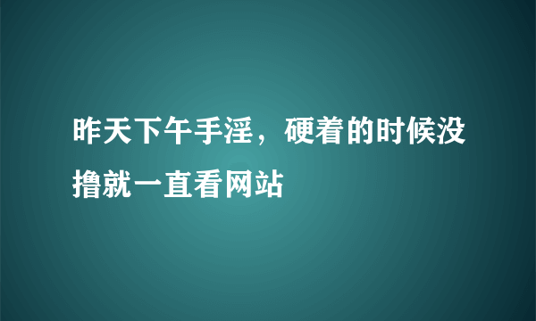 昨天下午手淫，硬着的时候没撸就一直看网站