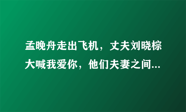 孟晚舟走出飞机，丈夫刘晓棕大喊我爱你，他们夫妻之间的感情如何？