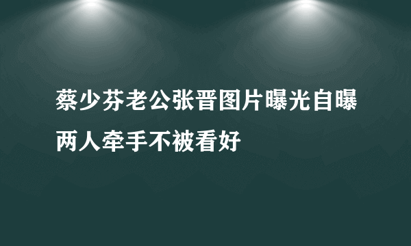 蔡少芬老公张晋图片曝光自曝两人牵手不被看好