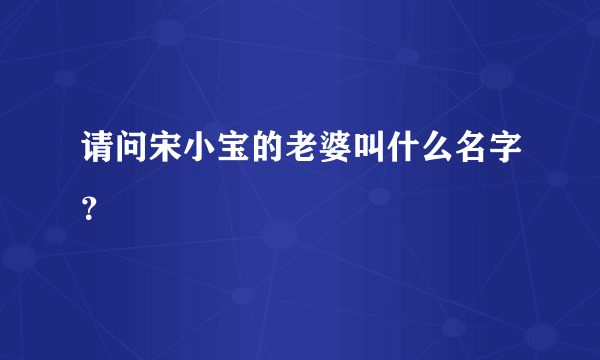 请问宋小宝的老婆叫什么名字？