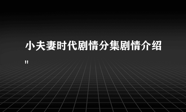 小夫妻时代剧情分集剧情介绍