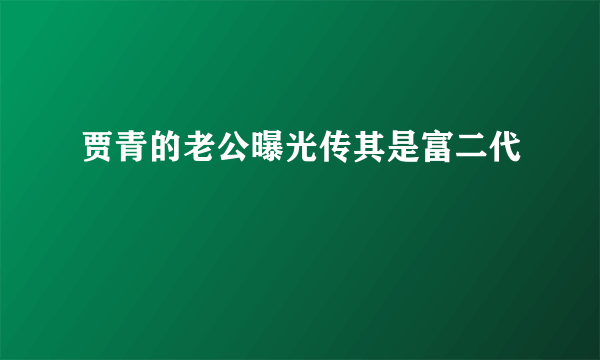 贾青的老公曝光传其是富二代