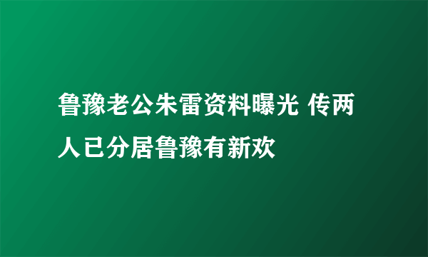 鲁豫老公朱雷资料曝光 传两人已分居鲁豫有新欢