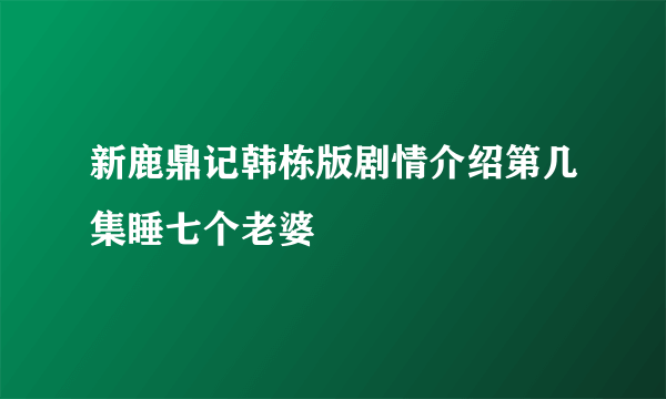 新鹿鼎记韩栋版剧情介绍第几集睡七个老婆