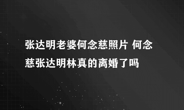 张达明老婆何念慈照片 何念慈张达明林真的离婚了吗