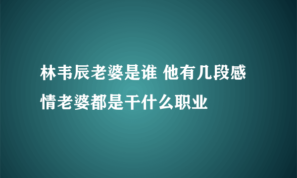 林韦辰老婆是谁 他有几段感情老婆都是干什么职业