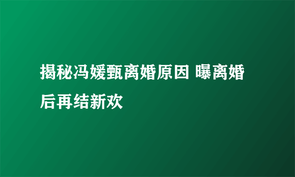 揭秘冯媛甄离婚原因 曝离婚后再结新欢