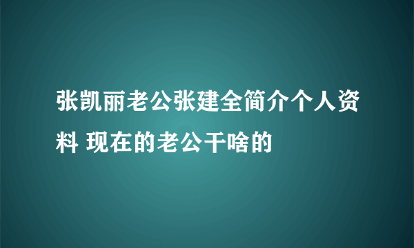 张凯丽老公张建全简介个人资料 现在的老公干啥的