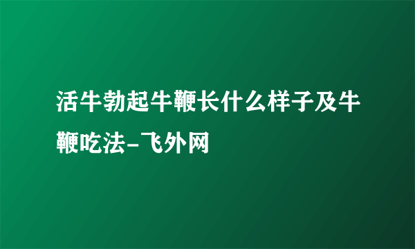 活牛勃起牛鞭长什么样子及牛鞭吃法-飞外网