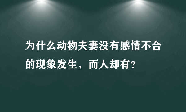 为什么动物夫妻没有感情不合的现象发生，而人却有？