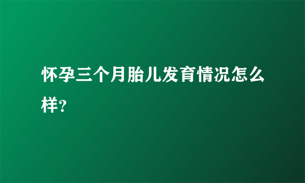 怀孕三个月胎儿发育情况怎么样？