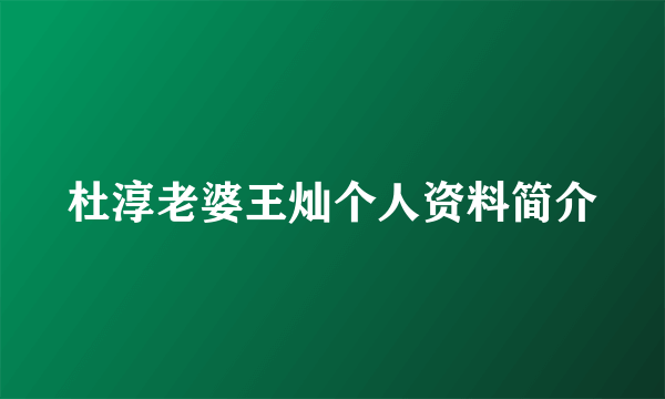 杜淳老婆王灿个人资料简介