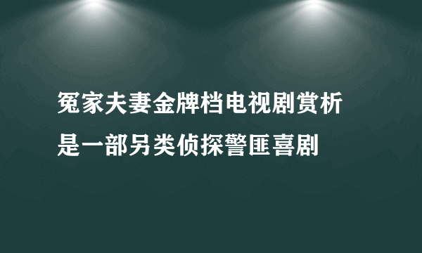 冤家夫妻金牌档电视剧赏析 是一部另类侦探警匪喜剧