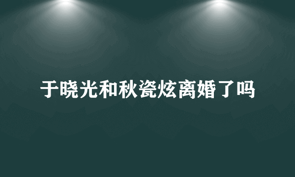 于晓光和秋瓷炫离婚了吗