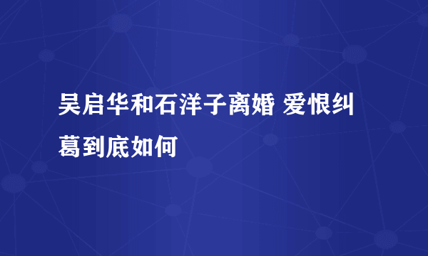 吴启华和石洋子离婚 爱恨纠葛到底如何