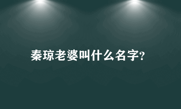 秦琼老婆叫什么名字？