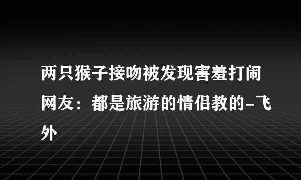 两只猴子接吻被发现害羞打闹网友：都是旅游的情侣教的-飞外