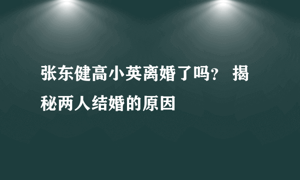 张东健高小英离婚了吗？ 揭秘两人结婚的原因