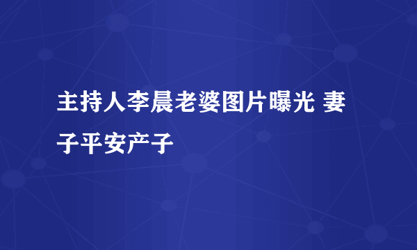 主持人李晨老婆图片曝光 妻子平安产子