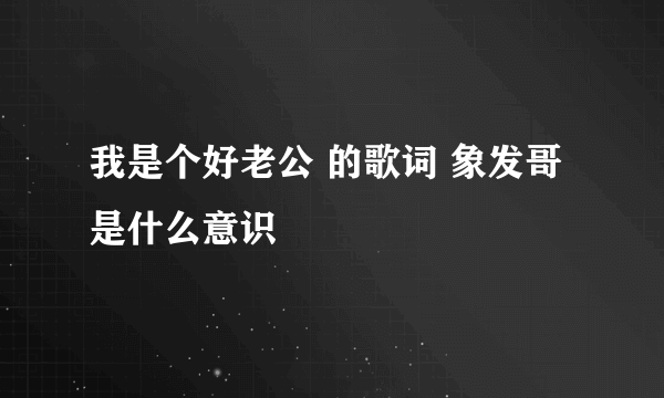 我是个好老公 的歌词 象发哥是什么意识