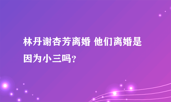 林丹谢杏芳离婚 他们离婚是因为小三吗？