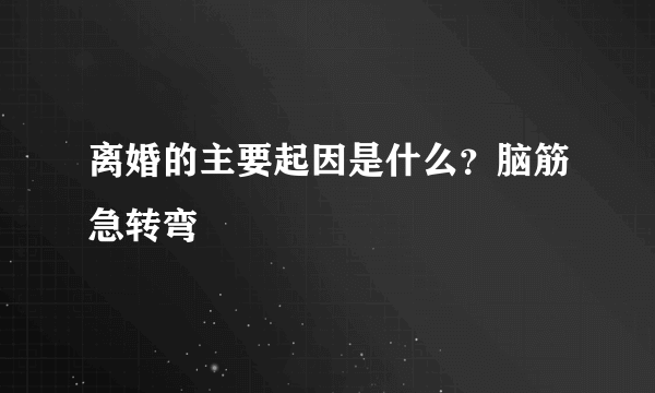 离婚的主要起因是什么？脑筋急转弯