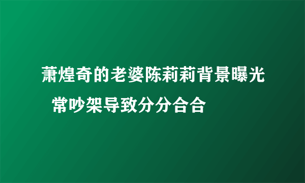 萧煌奇的老婆陈莉莉背景曝光  常吵架导致分分合合