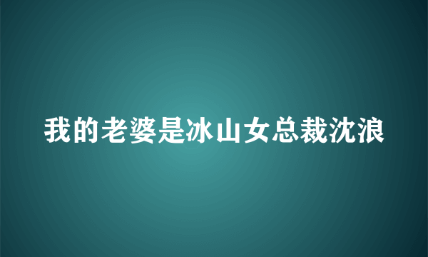 我的老婆是冰山女总裁沈浪