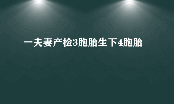 一夫妻产检3胞胎生下4胞胎