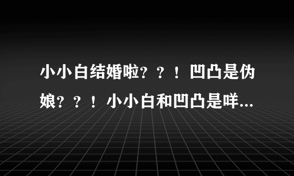 小小白结婚啦？？！凹凸是伪娘？？！小小白和凹凸是咩关系！！？