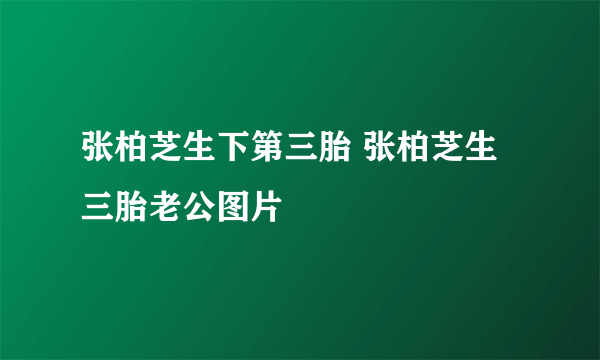 张柏芝生下第三胎 张柏芝生三胎老公图片