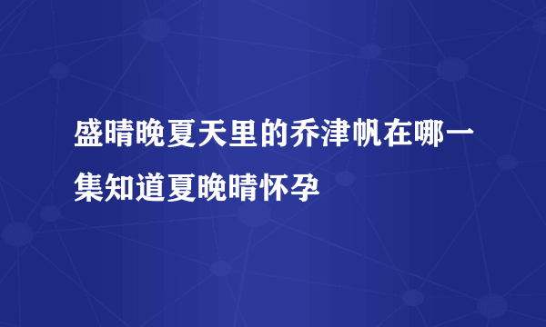 盛晴晚夏天里的乔津帆在哪一集知道夏晚晴怀孕