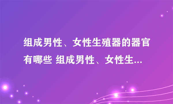 组成男性、女性生殖器的器官有哪些 组成男性、女性生殖器的器官有哪些