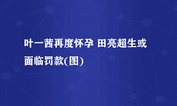 叶一茜再度怀孕 田亮超生或面临罚款(图)