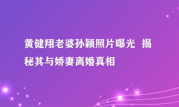 黄健翔老婆孙颖照片曝光  揭秘其与娇妻离婚真相