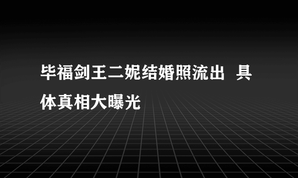 毕福剑王二妮结婚照流出  具体真相大曝光