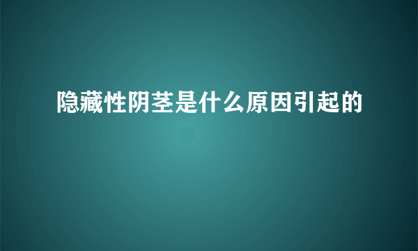 隐藏性阴茎是什么原因引起的