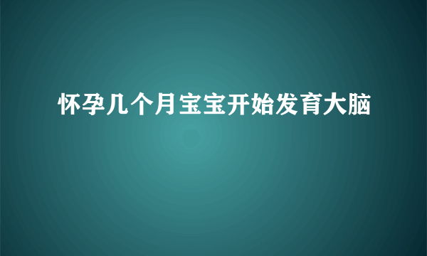 怀孕几个月宝宝开始发育大脑