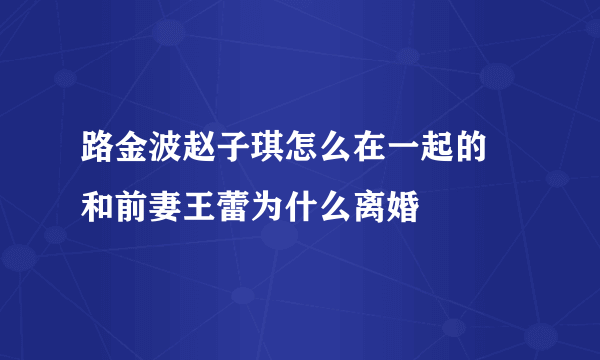 路金波赵子琪怎么在一起的 和前妻王蕾为什么离婚