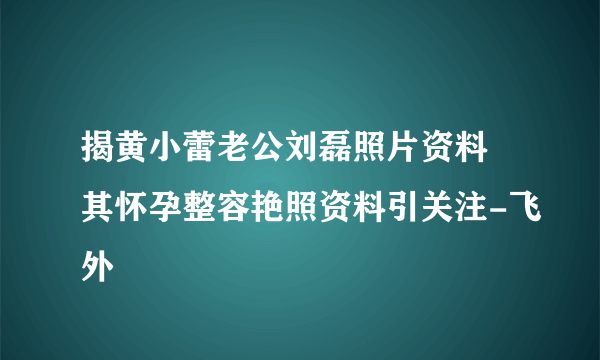 揭黄小蕾老公刘磊照片资料 其怀孕整容艳照资料引关注-飞外