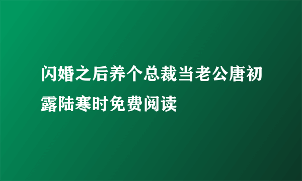 闪婚之后养个总裁当老公唐初露陆寒时免费阅读