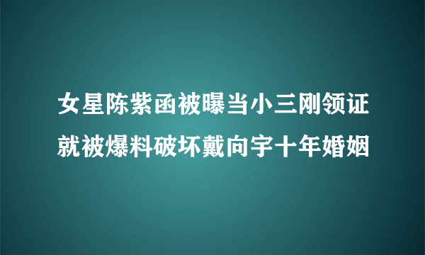 女星陈紫函被曝当小三刚领证就被爆料破坏戴向宇十年婚姻