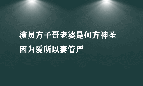 演员方子哥老婆是何方神圣 因为爱所以妻管严