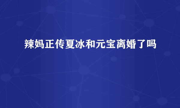 辣妈正传夏冰和元宝离婚了吗