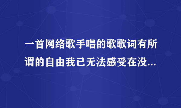 一首网络歌手唱的歌歌词有所谓的自由我已无法感受在没有理由弥补这爱情的缺口