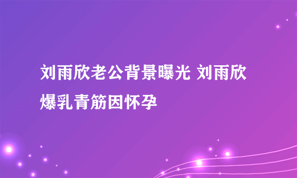 刘雨欣老公背景曝光 刘雨欣爆乳青筋因怀孕